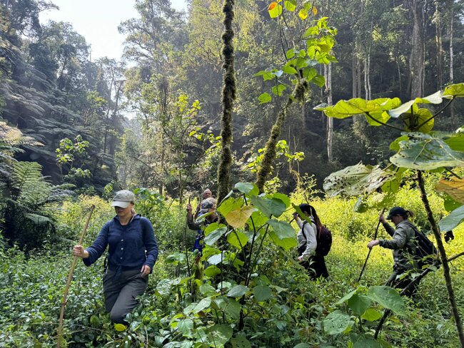 Za gorilami do deštných pralesů rovníkové Ugandy