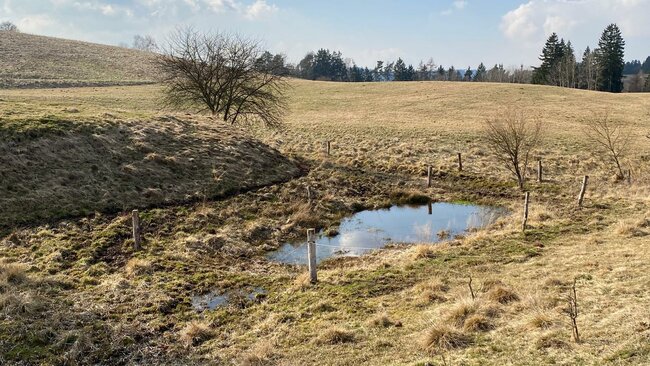 Na Broumovsku je krajina pořád poměrně zdravá