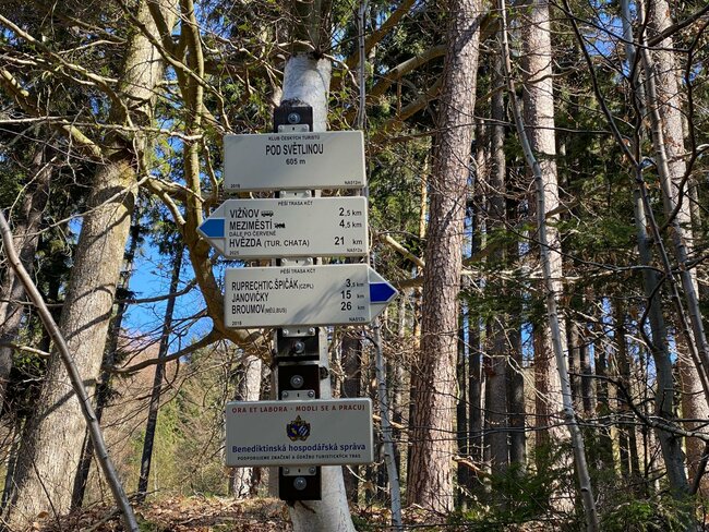 Bernardýni, krpály a byliny… Vítejte v Javořích horách