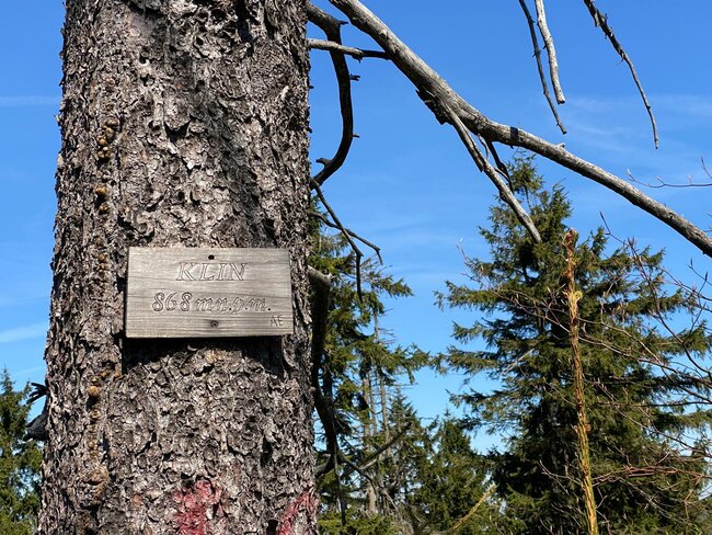 Bernardýni, krpály a byliny… Vítejte v Javořích horách