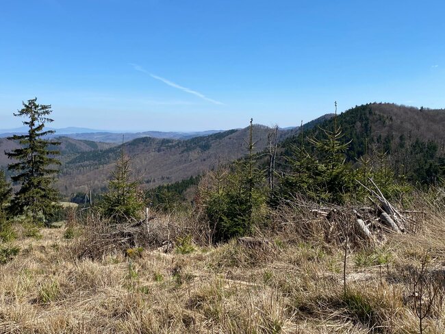 Bernardýni, krpály a byliny… Vítejte v Javořích horách