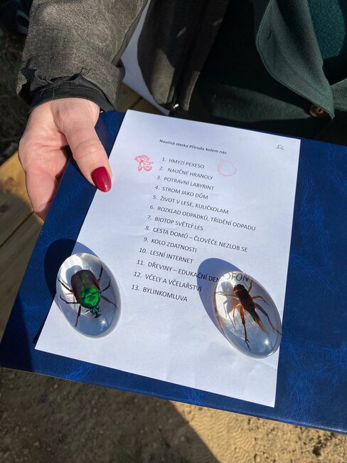 Dřevěné pexeso i kuličkolam. Nová naučná stezka baví děti v Meziměstí