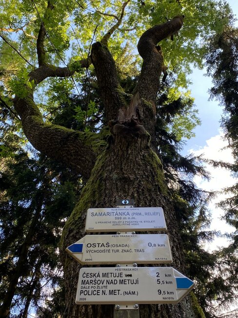 S pivním knírem k Samaritánce a pískovcovým sloupkům