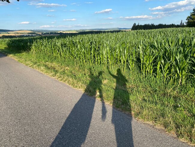 S pivním knírem k Samaritánce a pískovcovým sloupkům