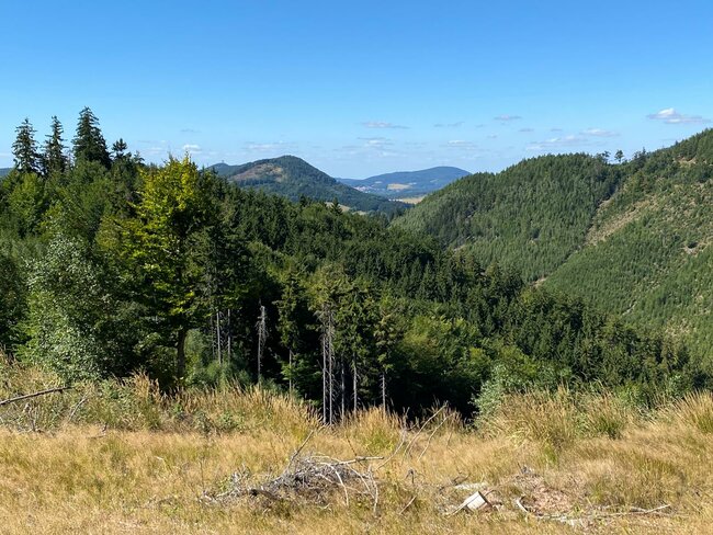 Krev, pot a slzy na Hřebenovce nad Vižňovem