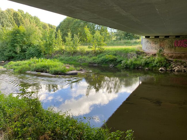 Za vůní Pavlišovského řízku a do Bělovsi k prameni Ida