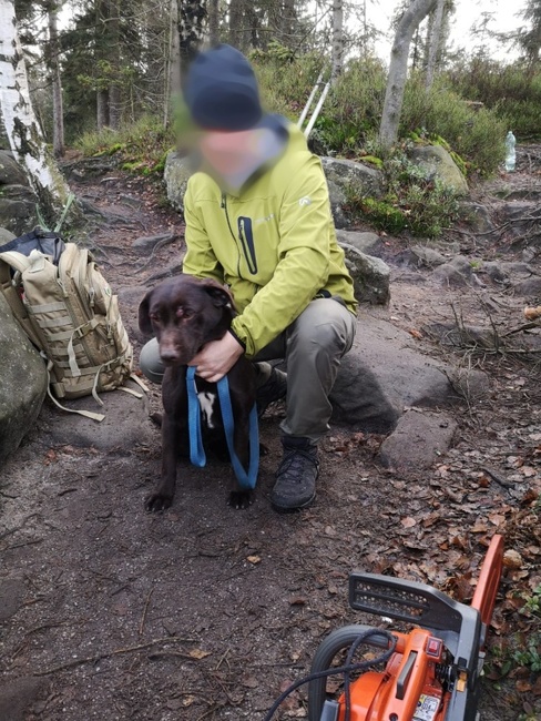 Štastný konec při záchraně psa ve skalách 