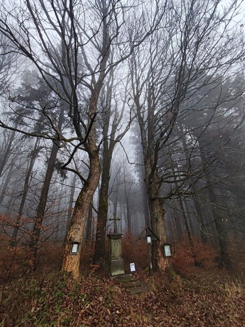 Spolek Skály-Bischofstein: Snažíme se tento kout Broumovska udělat ještě hezčím