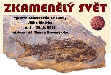 Největší regionální sbírka zkamenělin v Muzeu Broumovska 
