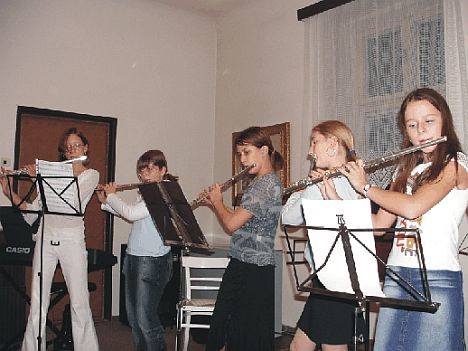 Žáci ZUŠ v Broumově zvou na svá vystoupení 25.11.2010