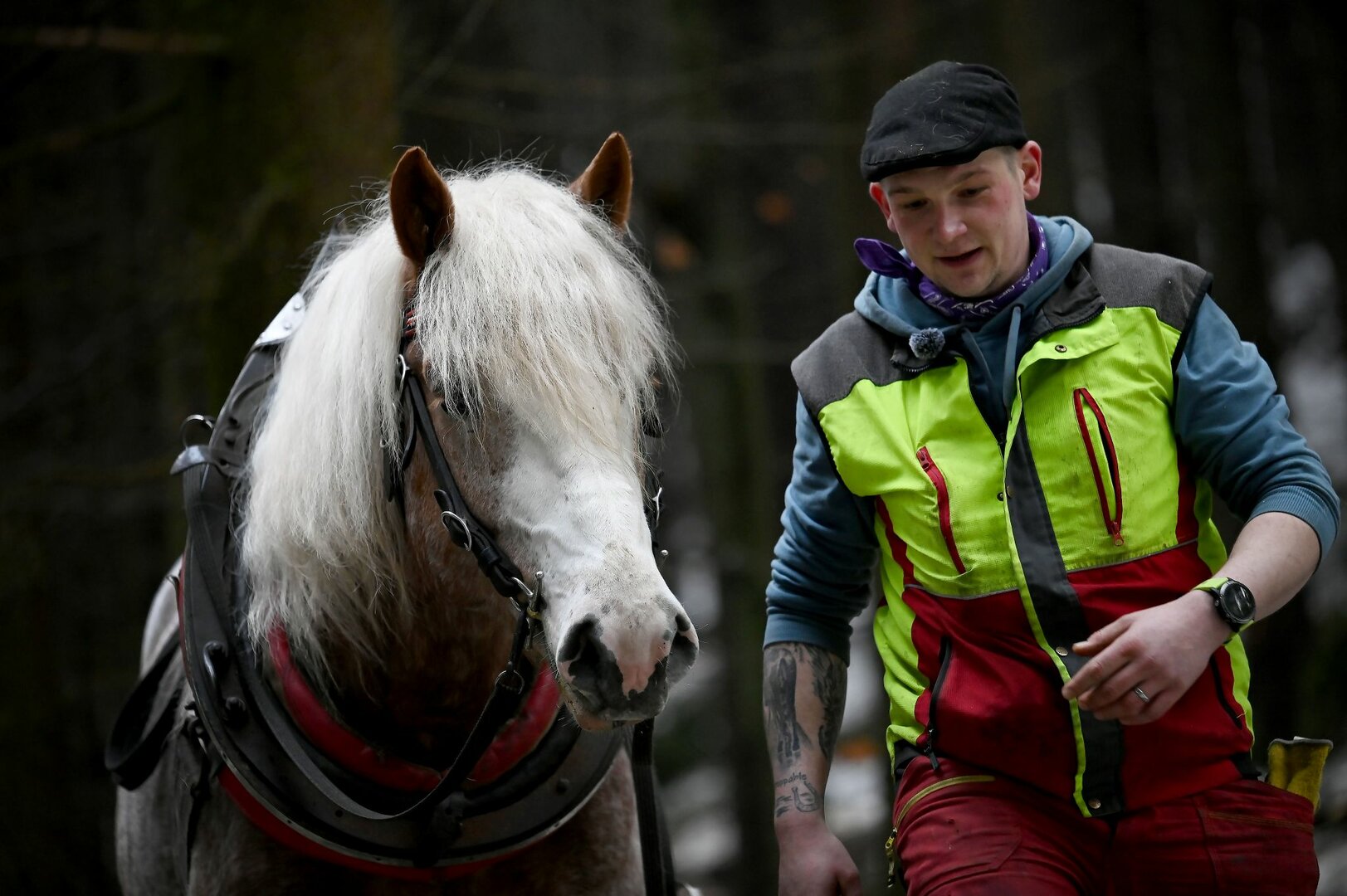 Spoléhám sám na sebe a svého koně, říká Jan Vlach