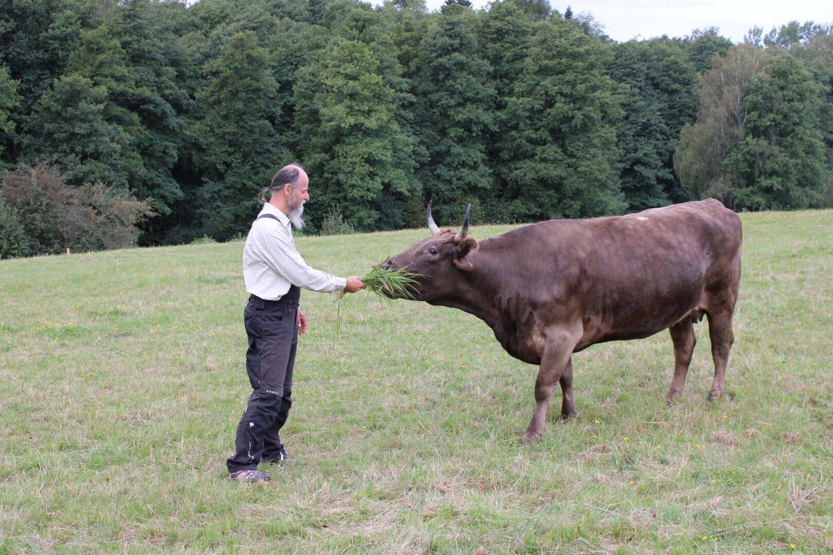 Farmář Radko Kříž: Plním si svůj dětský sen