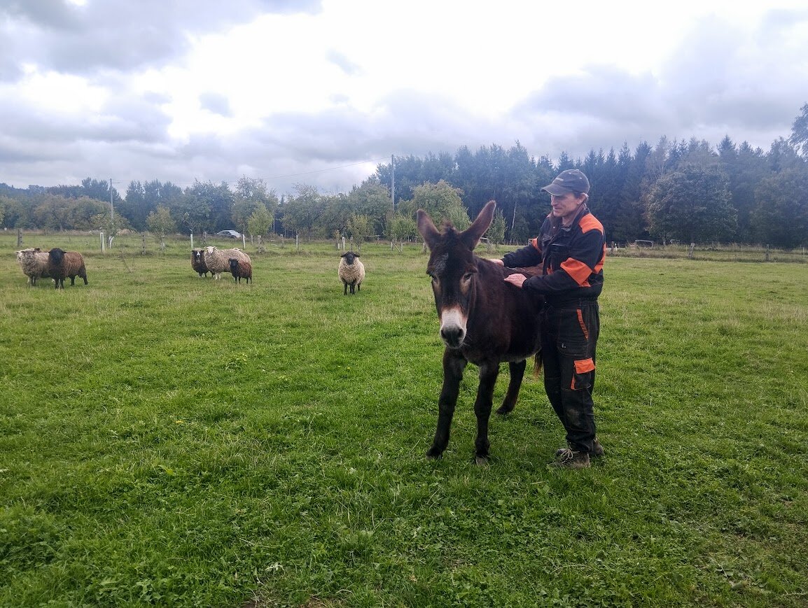 Zemědělství mě pořád baví, říká farmář Jan Bošina