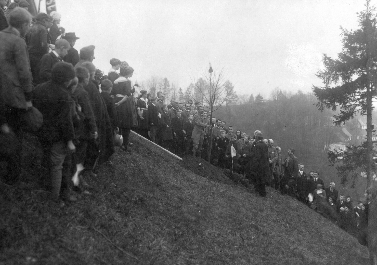 O stromu, který neuměl umřít