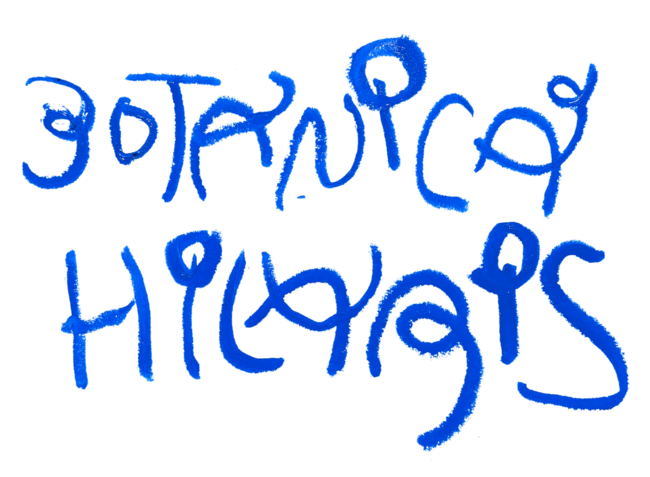 BOTANICUS HILARIS - Václav Matoušek Bill the Hobo