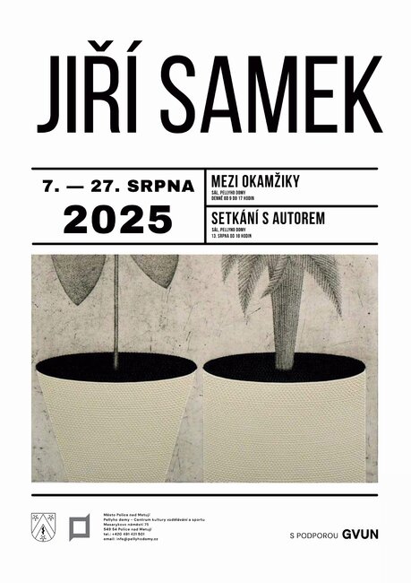 Jiří Samek: Mezi okamžiky