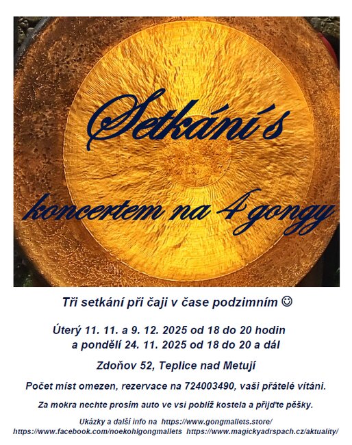 Setkání s koncertem na 4 gongy