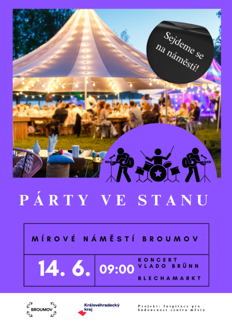 Party ve stanu