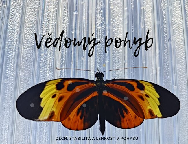 Vědomý pohyb